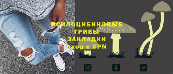 герыч Алексин