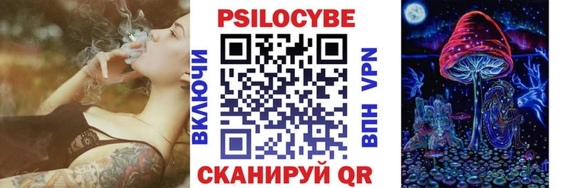 где купить   Черепаново  Псилоцибиновые грибы прущие грибы 